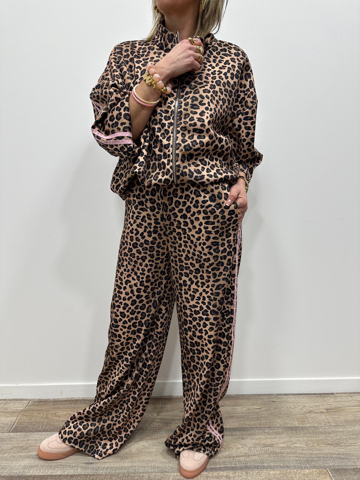 Ensemble Leopard Aubry