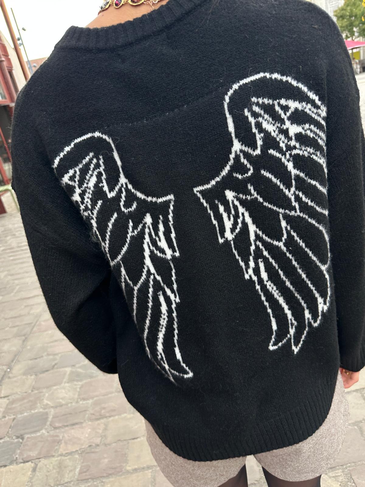 Pull Ailes D&rsquo;ange Noir – Alixane