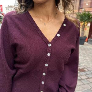 Gilet Bordeaux Boutonné à Taille Ajustée – Orphéline